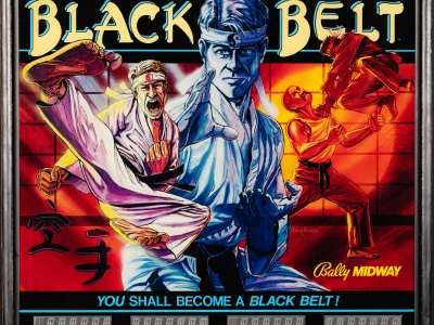 black-belt-783-bg.jpg