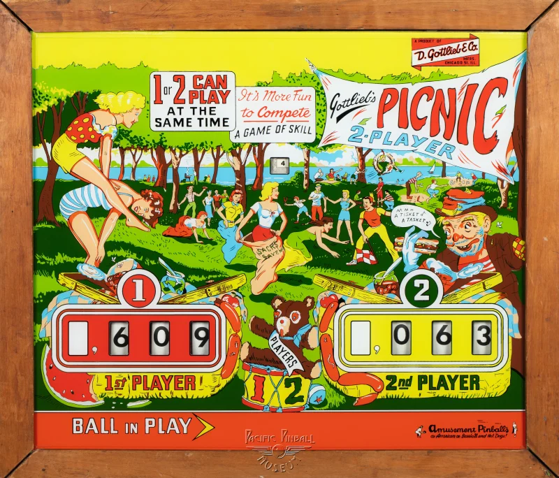 picnic-798-bg.jpg pinball machine - Preview image showing playfield artwork and design details